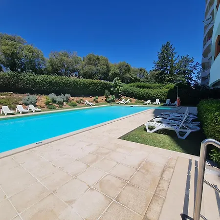 Flamingo * פורטימאו