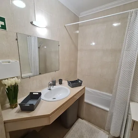 Flamingo פורטימאו